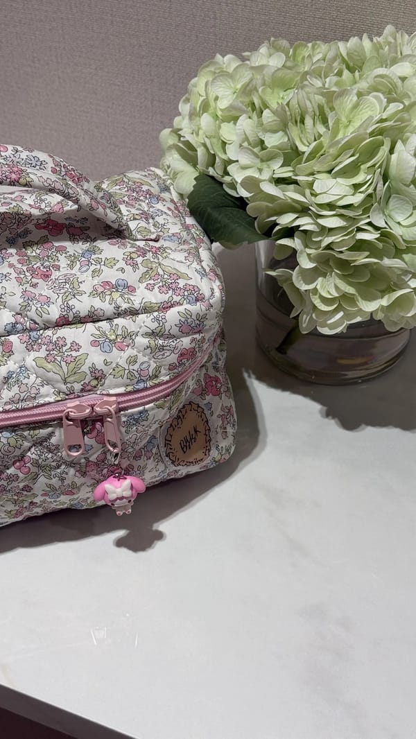 Granny’s strawberry garden pouch 🌸💌