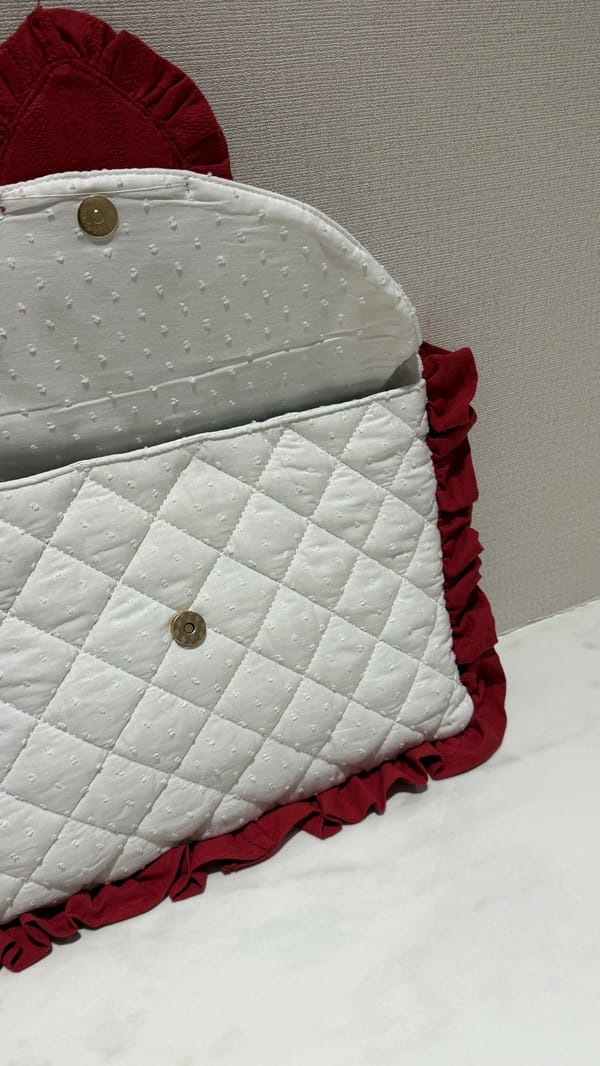 Mail laptop case💌