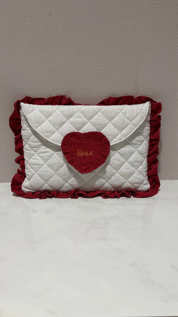 Mail laptop case💌