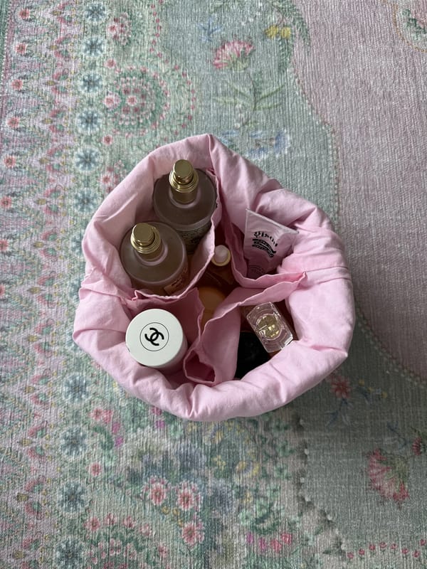 Rose blush organizer 🌸