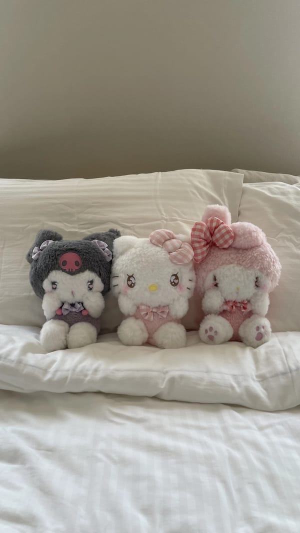 Sanrio love plushies💕