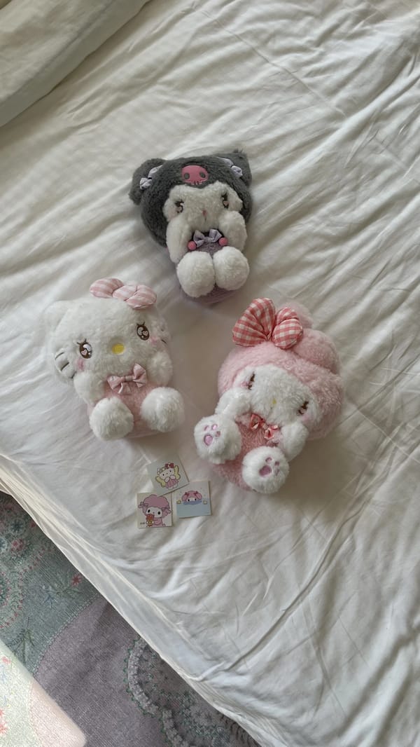 Sanrio love plushies💕