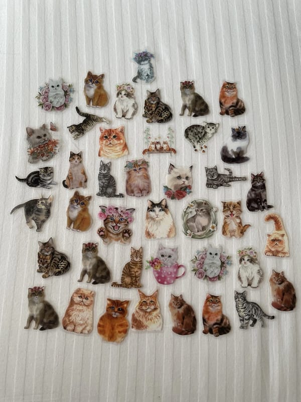 Random cat stickers