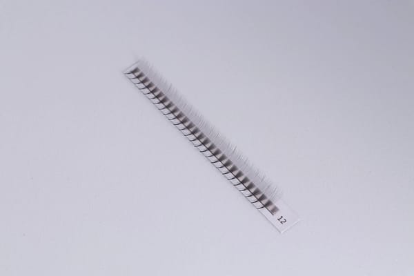 7D 0.05 CC