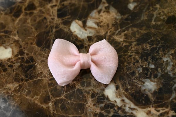 Matching Hair Clips (Set of 2)