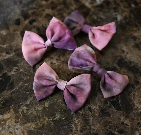 Matching Hair Clips (Set of 2)