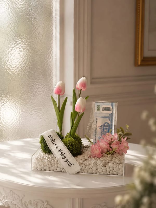 new born baby girl money gift