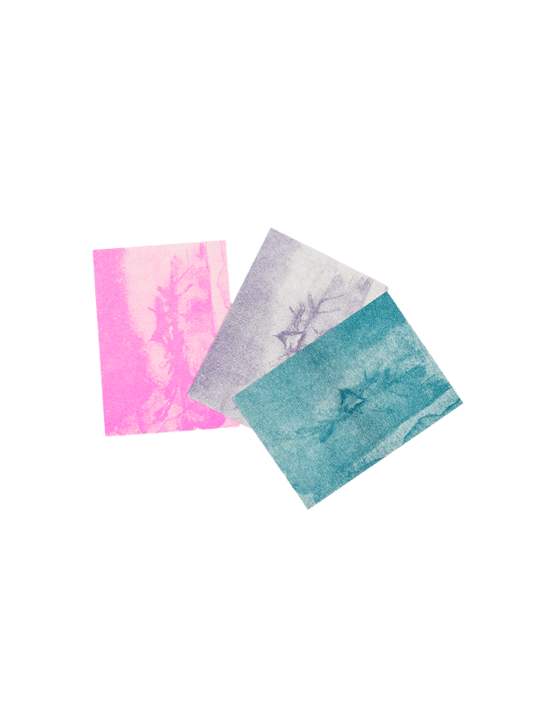 Desert Cotton | Postcard Set