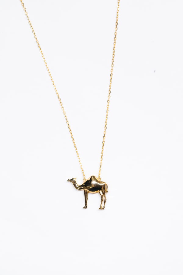 The Camel Necklace