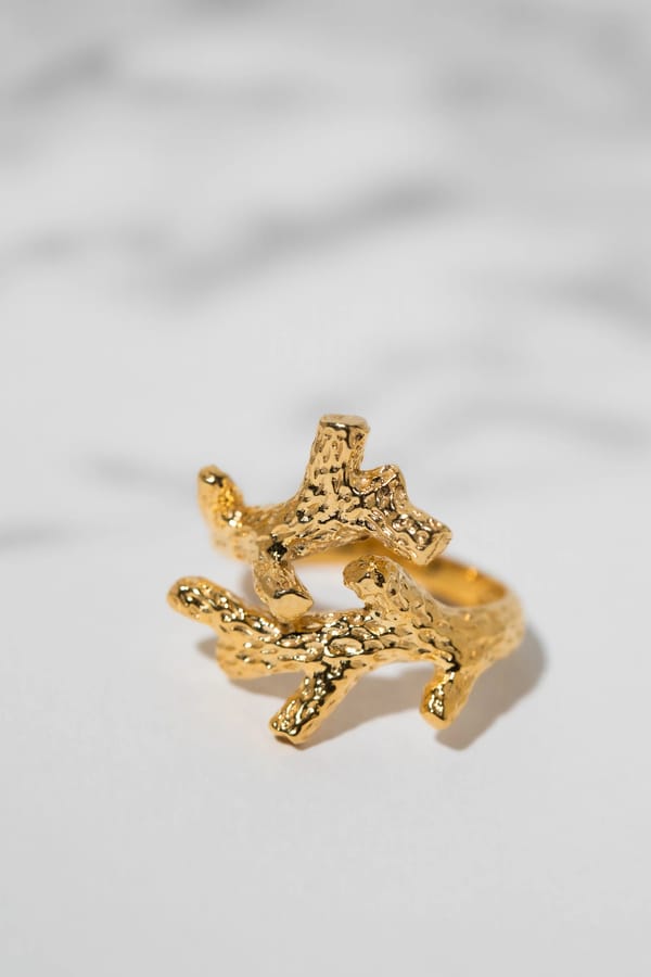TWIG Statement Ring