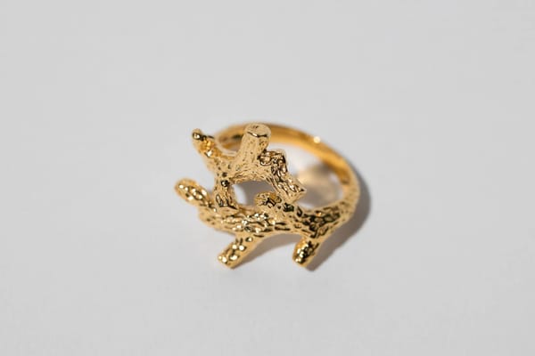 TWIG Statement Ring