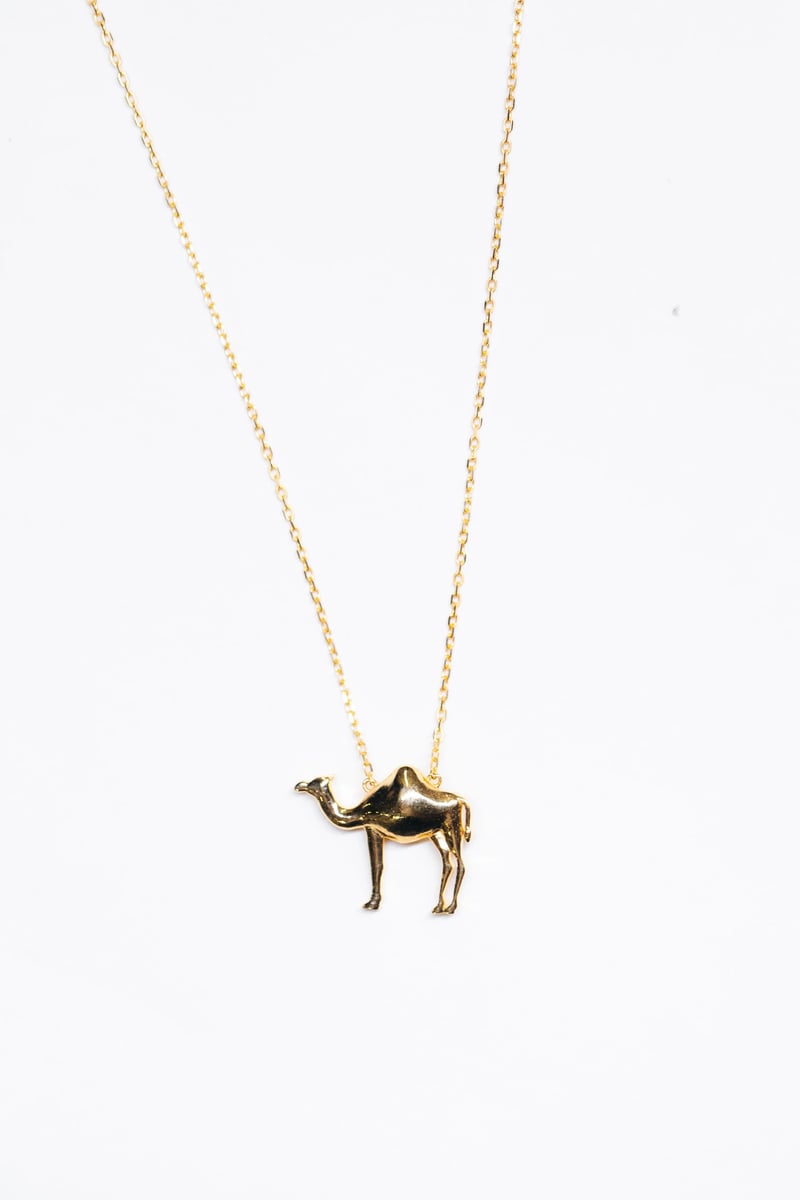 The Camel Necklace