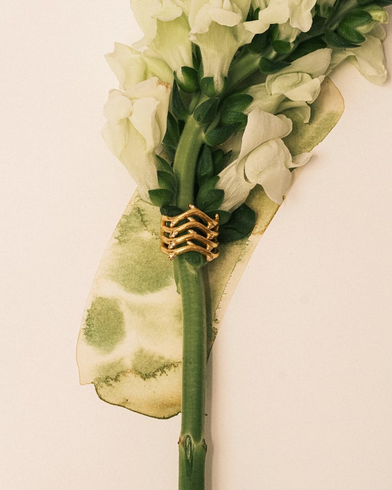 TWIG Entwined Ring