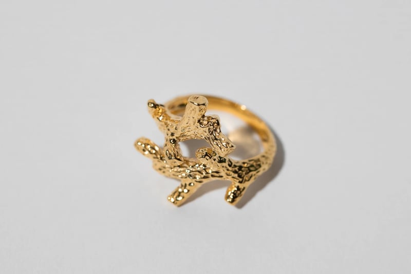 TWIG Statement Ring